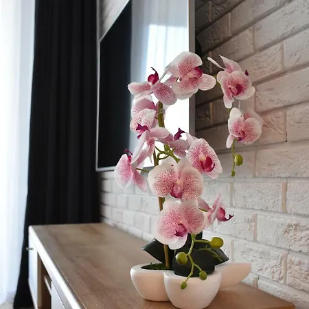 Balticum - Blizej Morza Z Garazem Lägenhet Kołobrzeg