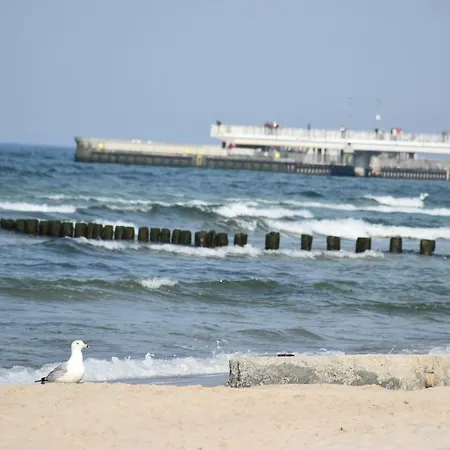Lägenhet Balticum - Blizej Morza Z Garazem