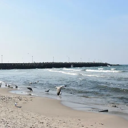 Balticum - Blizej Morza Z Garazem