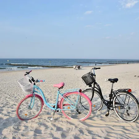 Balticum - Blizej Morza Z Garazem *