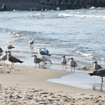 Lägenhet Balticum - Blizej Morza Z Garazem