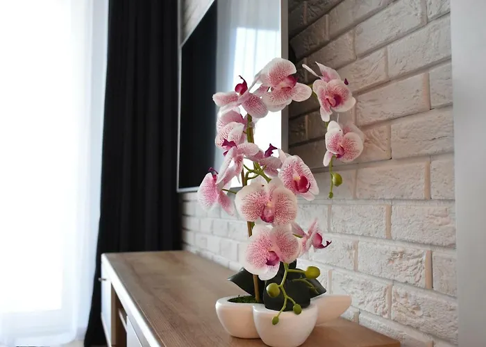 Balticum - Blizej Morza Z Garazem Apartmán Kolobřeh