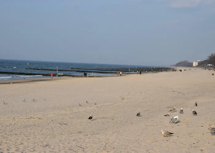 Balticum - Blizej Morza Z Garazem * Kolobřeh