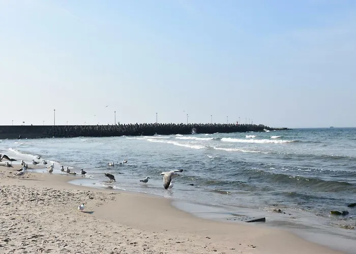 Balticum - Blizej Morza Z Garazem